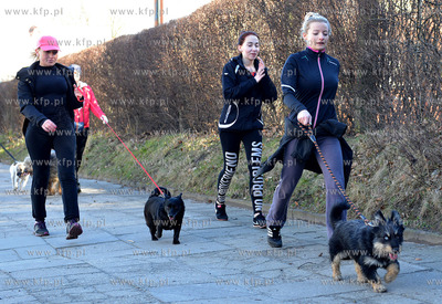 Gdynia. Ogolnopolskie Towarzystwo Ochrony Zwierzat...