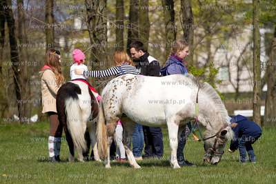 Szkola jazdy konnej Galoopka zorganizowala w Wielka...