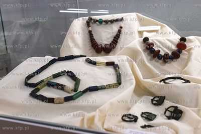 Prezentacja wyników badań archeologicznych na terenie...