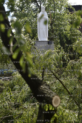 Skutki wichury na Pomorzu. Zniszczony park w miejscowości...