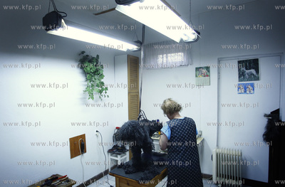 Gdansk Zaspa. Zaklad strzyzenia psow.
05.05.2009
fot....