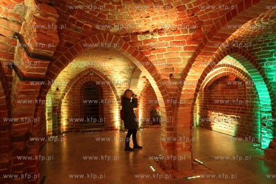 Uroczyste otwarcie Piwnicy Romanskiej z XIIIw., ktora...