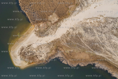 Wyspa Sobieszewska.
01.04.2024
fot. Krzysztof Mystkowski...