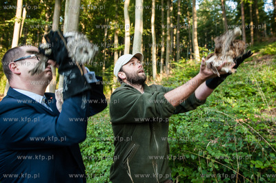 Gdansk. Oliwa. Lesniczowka Wroblowka. Wypuszczenie...