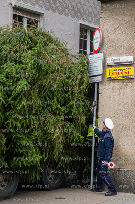 Gdansk. Dlugi Targ. Operacja stawiania swiatecznej...