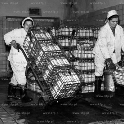 Linia produkcyjna w Spółdzielni Mleczarskiej w Starogardzie...