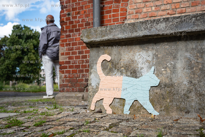 Gdańsk Wrzeszcz. Osiedle Garnizon. Nz. Kot autorstwa...