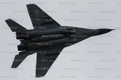 Królewo Malborskie. Open Air Day 2016 - Dzień otwarty...