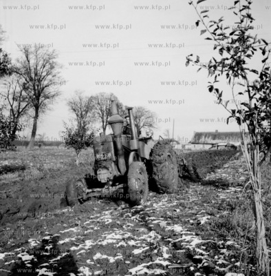 Prace rolne w Powiecie Gdanskim. 1952
z0005830
Fot....