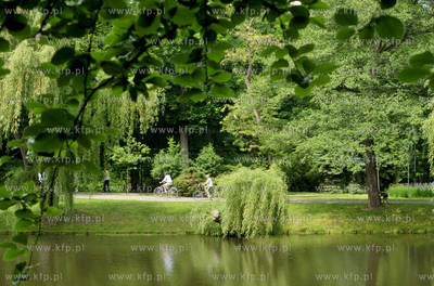 XV Wielki Festyn Rodzinny z okazji Dnia Dziecka w Parku...
