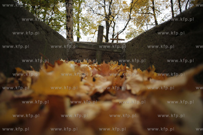 Gdynia Kolibki. Cmentarz.
24.10.2012
fot. Krzysztof...