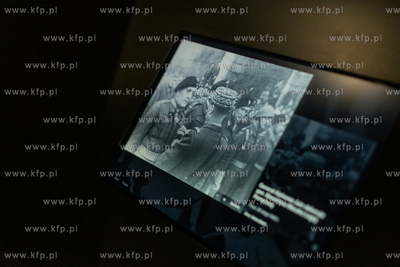 Oprowadzanie dziennikarzy po wystawie stałej MIIWŚ....