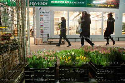 Gdansk. Giełda kwiatowa Dick Inter.
08.03.2013
fot....