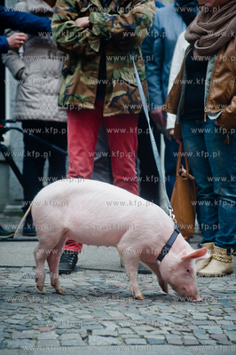 Gdansk. Obchody 55 lecia Polskiego Rock & Rolla. Odsloniecie...