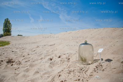 Gdansk. Wyspa Sobieszewoska. Teren Stacji Badawczej...