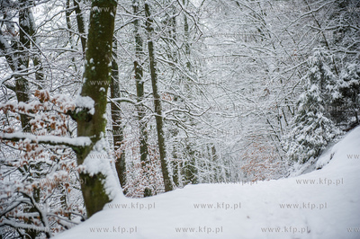 Sniezny zimowy dzien nad jeziorem Otominskim.
21.01.2016
fot....