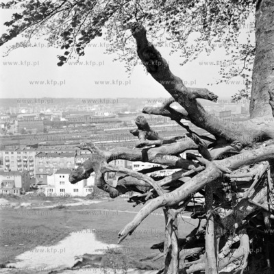 Panorama Gdyni. 19.05.1973 5maj73_z.kosycarz_p49 Fot....