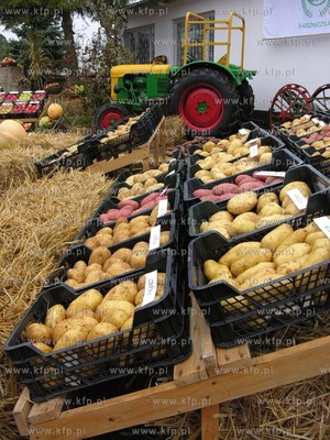 Karzniczka k/Slupska VI Swieto Ziemniaka. 11.10.2009...