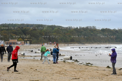 Sopot. Zatoka Gdanska. Sztorm. 05.10.2016 fot. Jerzy...