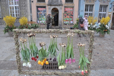 Gdansk.Wystawa Ogrod Kulturalny - Holandia, na ktorej...