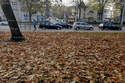 Gdańsk Siedlce, ul. Kartuska na wysokości ul. Jasnej...
