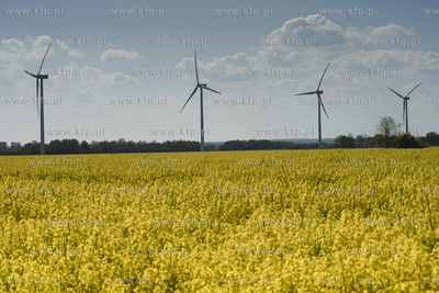 Farma wairtowa Bystra Grupy Energa zlokalizowana na...