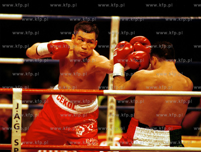 Walka zawodowa o mistrzostwo swiata federacji WBO w...