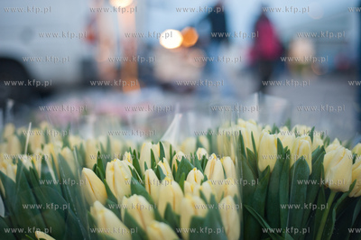 Gdansk. Giełda kwiatowa Dick Inter.
08.03.2013
fot....