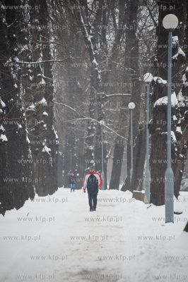 Gdansk. Park Stefensa wzdluz Al. Zwyciestwa.
20.03.2013
fot....