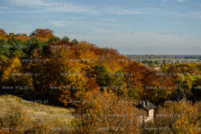 Gdansk. Jesienne, sloneczne przedpoludnie w Parku Orunskim.
27.10.2015
fot....