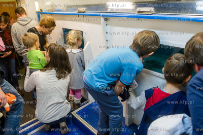 Akwarium Gdynskie. Tydzien Rekina oraz Dni Otwarte...