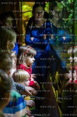 Akwarium Gdynskie. Tydzien Rekina oraz Dni Otwarte...