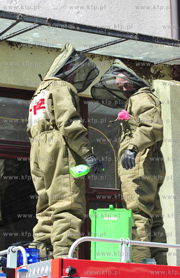 Sopot. Rog ulic Monte Cassino i Haffnera. Roj pszczol...