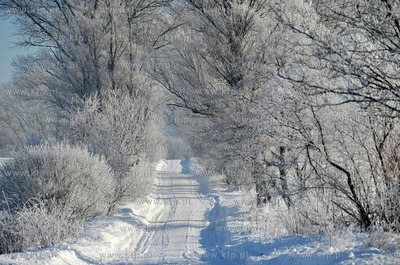 Zima w Sulminie na Kaszubach. Droga z Niestepowa do...