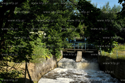 Rzeka Radunia w Zukowie przed mlynem. 10.07.2014 Fot....