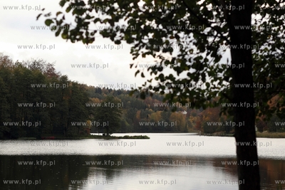 Jezioro przywidzkie.
17.10.2014
fot. Krzysztof Mystkowski...