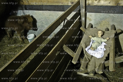 Kosciol sw. Trojcy w Gdansku. Zywa szopka.
27.12.2014
fot....