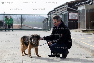 Schronisko dla Bezdomnych Zwierząt "Promyk" w Gdańsku...