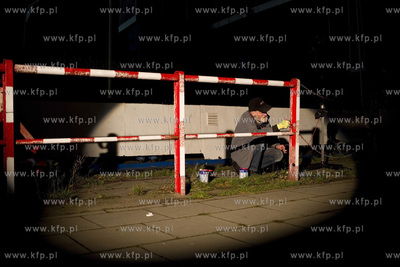 Nowy Port, Festiwal artystycznych instalacji wizualnych...