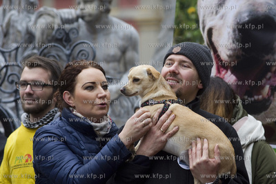Spacer podopiecznych gdańskiego schroniska Promyk...