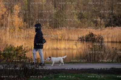 Jesień w Parku R. Reagana. 25.11.2020 / fot. Anna...