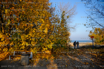 Gdansk. Park Jelitkowski.
06.11.2011
fot. Mateusz...