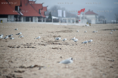 Nieprzyjemna, niezachecajaca do spacerow, zimowa pogoda...