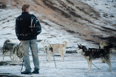 Gdynia. Polanka Redlowska. Pomorski Puchar Dogtrekkingu.
08.02.2014
fot....
