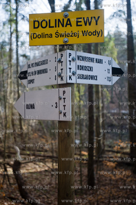 Gdansk. Oliwa, Trojmiejski Park Krajobrazowy. Sciezka...