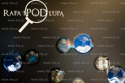 Akwarium Gdynskie Morskiego Instytutu Rybackiego -...