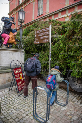 Gdansk. Dlugi Targ. Operacja stawiania swiatecznej...