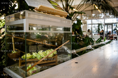 Uniwersytet Gdanski. Wydzial Biologii. Formikarium...