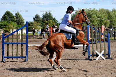 Stadnina koni MORINA w Redzie/Wejherowa. Towarzyskie...