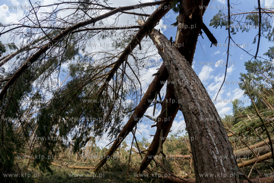Skutki nawałnicy, która z piątku na sobotę przeszła...